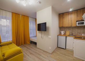 Сдается квартира студия, 20 м2, Санкт-Петербург, проспект Римского-Корсакова, 77