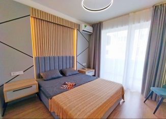 Сдам квартиру студию, 24 м2, Сочи, улица 8 Марта, 10, микрорайон Центральный