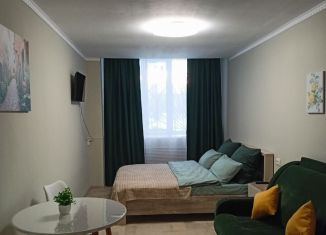 Сдается в аренду квартира студия, 27 м2, Республика Алтай, Нагорная улица, 26/1