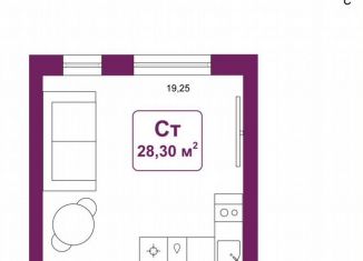Квартира на продажу студия, 28.3 м2, деревня Дударева, улица Сергея Джанбровского, 25