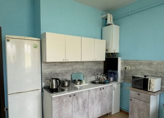 Сдается в аренду квартира студия, 32 м2, Сириус, улица Фиалок, 19