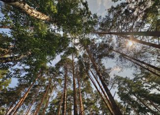 Продается земельный участок, 60.2 сот., деревня Шульгино, Полевая улица