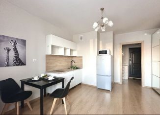 Сдача в аренду квартиры студии, 24 м2, Мурино, проспект Авиаторов Балтики, 9, ЖК Виктория