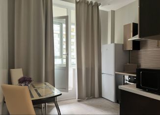 Аренда однокомнатной квартиры, 37.6 м2, Санкт-Петербург, Московский проспект, 183-185Бк9