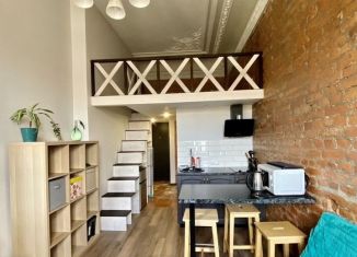 Сдача в аренду квартиры студии, 20 м2, Санкт-Петербург, улица Марата, 61