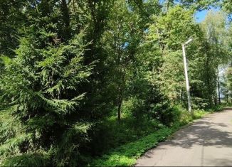 Продаю земельный участок, 15 сот., деревня Васькино