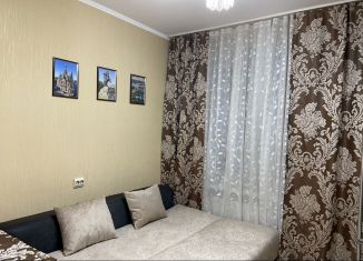 Сдается в аренду квартира студия, 17 м2, Санкт-Петербург, улица Латышских Стрелков, 17к1, ЖК Ладожский Парк