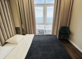 Сдам в аренду 1-ком. квартиру, 50 м2, посёлок городского типа Дагомыс, Прозрачная улица, 35к17