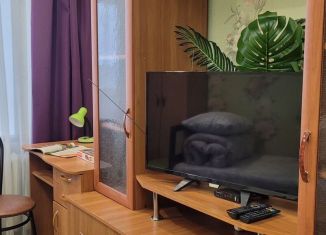 Аренда 1-ком. квартиры, 32 м2, Камышлов, Северная улица, 64