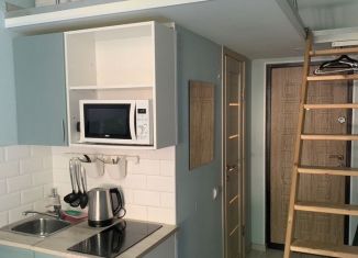 Сдам квартиру студию, 14 м2, Санкт-Петербург, улица Красного Курсанта, 20