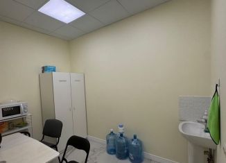 Сдача в аренду производства, 30 м2, Нижний Новгород, улица Бориса Панина, 7к6