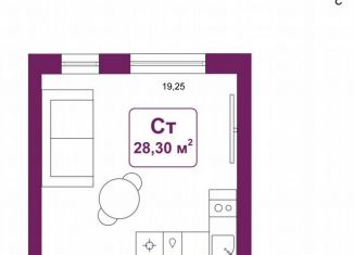 Продажа квартиры студии, 28.3 м2, деревня Дударева, улица Сергея Джанбровского, 25