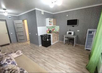 Сдается квартира студия, 25 м2, Тобольск, 15-й микрорайон, 39