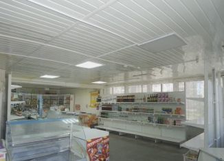 Продам помещение свободного назначения, 187.2 м2, Сухой Лог, Пушкинская улица, 4А