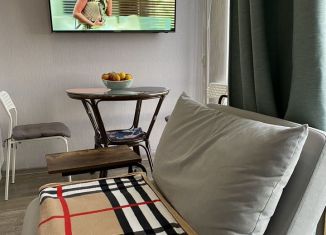 Сдаю квартиру студию, 23 м2, Сочи, Православная улица, 20/2, микрорайон Энергетик-Изумруд