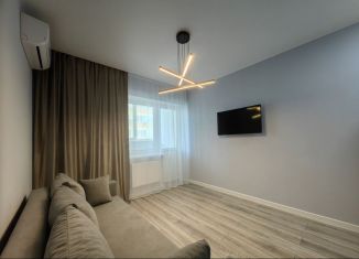 Квартира в аренду студия, 26.5 м2, Ростов-на-Дону, улица Нансена, 103/1/7