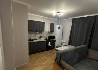 Продам квартиру студию, 28 м2, Тюмень, улица Свердлова, 20А