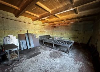 Сдам производство, 80.2 м2, Новосибирская область, Золотодолинская улица, 101А/1