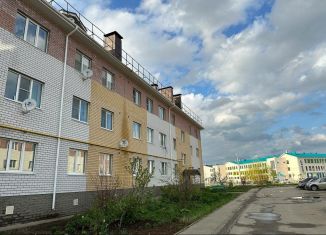Продаю 2-ком. квартиру, 56.8 м2, Бор, Московская улица, 43