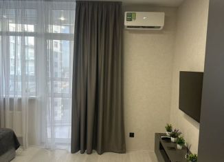 Сдаю квартиру студию, 35 м2, Ростов-на-Дону, Привокзальная улица, 3/1