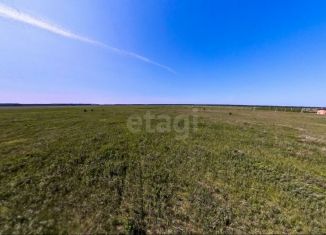 Продам участок, 8 сот., деревня Елань