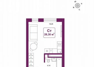 Продаю квартиру студию, 28.3 м2, деревня Дударева, улица Сергея Джанбровского, 25