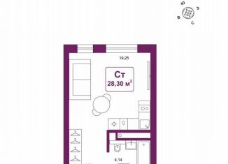 Продается квартира студия, 28.3 м2, деревня Дударева, улица Сергея Джанбровского, 25