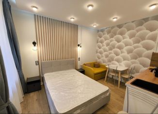 Аренда квартиры студии, 31 м2, Санкт-Петербург, Большая Пушкарская улица, 3