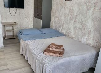 Сдам в аренду квартиру студию, 25 м2, Сысерть, микрорайон Новый, 26