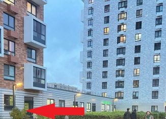 Сдам помещение свободного назначения, 97 м2, Санкт-Петербург, Дальневосточный проспект, 33к1, муниципальный округ № 54