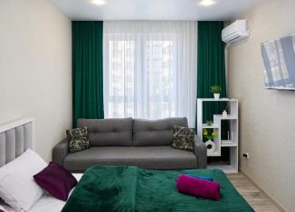 Сдача в аренду однокомнатной квартиры, 36 м2, Армавир, 8-й микрорайон, 8