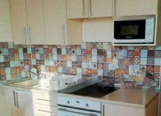 Продажа квартиры студии, 20 м2, Нижний Новгород, улица Бориса Видяева, 20, Автозаводский район