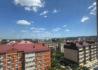 Продажа 1-ком. квартиры, 41.7 м2, Горячий Ключ, Рябиновая улица, 2