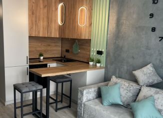 Продам квартиру студию, 27 м2, Ростов-на-Дону, улица 23-я Линия, 54с4