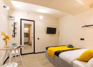 Продажа помещения свободного назначения, 15 м2, Санкт-Петербург, Сапёрный переулок, 10, Центральный район