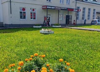 Помещение свободного назначения на продажу, 770 м2, Брянск, Красноармейская улица, 13