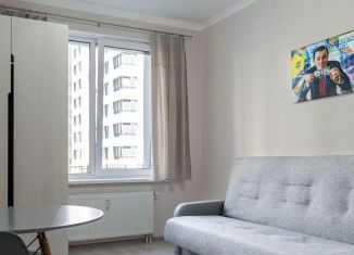 Продажа однокомнатной квартиры, 40.2 м2, Санкт-Петербург, муниципальный округ Озеро Долгое, Торфяная дорога