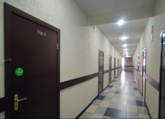 Сдается офис, 35 м2, Москва, Щёлковское шоссе, 7с1, станция Локомотив