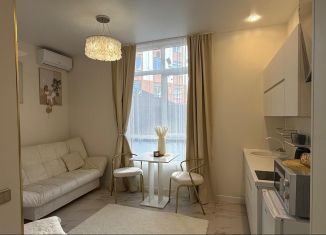 Продажа квартиры студии, 18 м2, Сочи, улица Тимирязева, 53Г, микрорайон Донская