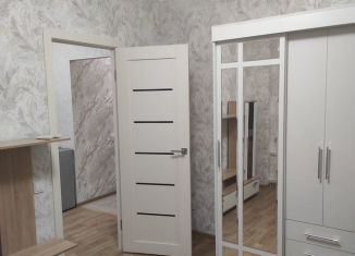 Сдаю 1-ком. квартиру, 25.6 м2, Мурино, проспект Авиаторов Балтики, 25, ЖК Авиатор