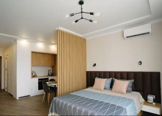 Продается квартира студия, 24.5 м2, Сочи, Православная улица, 16/1, микрорайон Энергетик-Изумруд