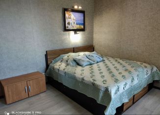 Сдаю в аренду 1-ком. квартиру, 36.5 м2, Благовещенск, улица Василенко, 20/3