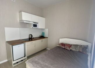 Квартира на продажу студия, 17.5 м2, Санкт-Петербург, Московский район, Пулковское шоссе, 14с6