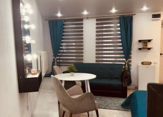 Сдам квартиру студию, 25 м2, Санкт-Петербург, Московский проспект, 18ЗЖ