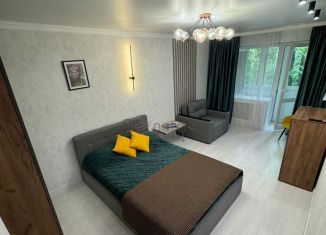 Сдается 1-комнатная квартира, 35 м2, Пятигорск, Московская улица, 78к2