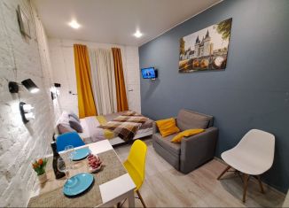 Сдаю в аренду квартиру студию, 20.8 м2, Санкт-Петербург, улица Блохина, 20/7