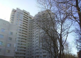 1-ком. квартира в аренду, 49.5 м2, Санкт-Петербург, улица Ленсовета, 43к3