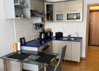 Сдам квартиру студию, 25 м2, Санкт-Петербург, Малая Бухарестская улица, 5к2