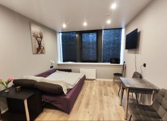 Аренда квартиры студии, 25 м2, Санкт-Петербург, проспект Энергетиков, 2к2
