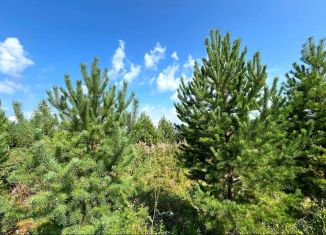 Продажа участка, 13.5 сот., деревня Ушакова